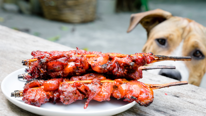 Håll hunden under uppsikt när du grillar! Fastnar matresterna i hundens mage eller tarm kan det krävas en operation. Foto: Shutterstock